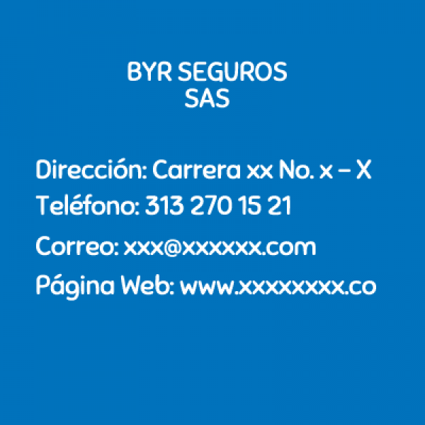 BYR SEGUROS SAS